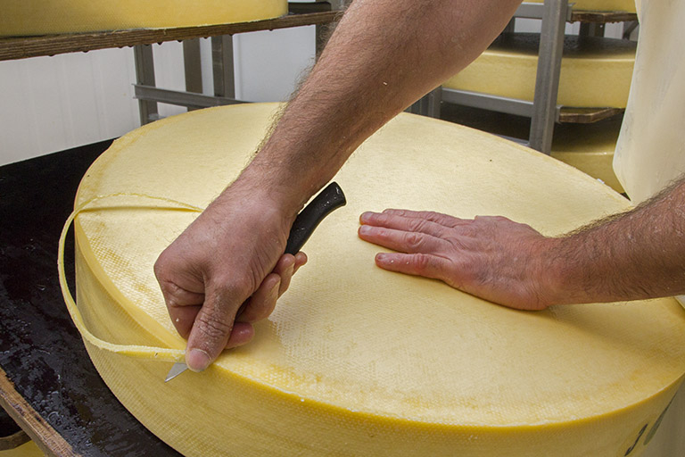 Fabrication : rognage des meules de comté à la sortie du bac à saumure. © Sonia Dourlot / Région Bourgogne-Franche-Comté, Inventaire du patrimoine - 2014