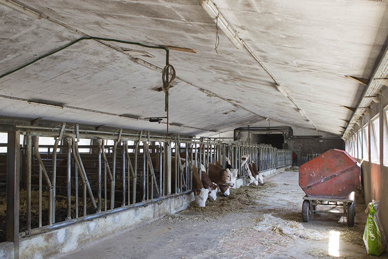 Dans l'étable est. © Sonia Dourlot / Région Bourgogne-Franche-Comté, Inventaire du patrimoine - 2014