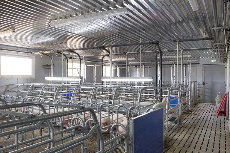 Dans la porcherie.  © Sonia Dourlot / Région Bourgogne-Franche-Comté, Inventaire du patrimoine - 2014