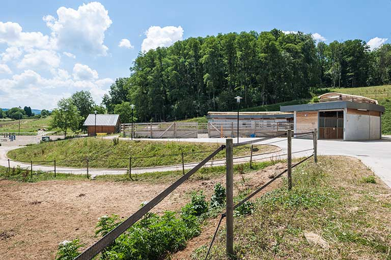 Centre équestre : terrains d'entrainement extérieurs. © Jérôme Mongreville / Région Bourgogne-Franche-Comté, Inventaire du patrimoine - 2014