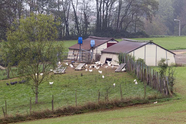 Les deux poulaillers sud.  © Sonia Dourlot / Région Bourgogne-Franche-Comté, Inventaire du patrimoine - 2014