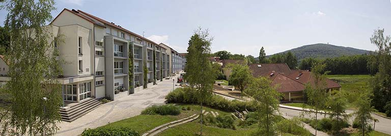 Vue du site du haut depuis l'administration. © Jérôme Mongreville / Région Bourgogne-Franche-Comté, Inventaire du patrimoine - 2014