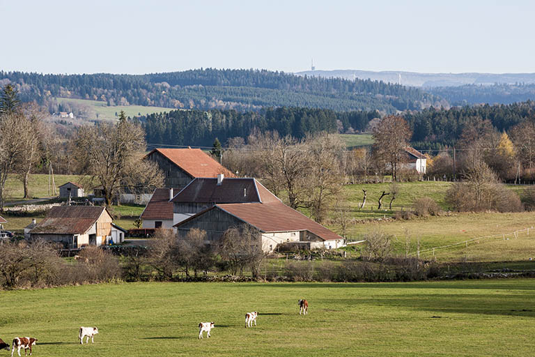 Vue d'ensemble de la ferme et de la remise agricole, depuis le nord-ouest. © Jérôme Mongreville / Région Bourgogne-Franche-Comté, Inventaire du patrimoine - 2015