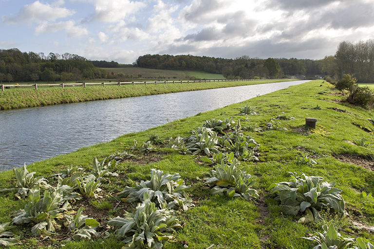 La dérivation au niveau de la commune de Rupt-sur-Saône. © Sonia Dourlot / Région Bourgogne-Franche-Comté, Inventaire du patrimoine - 2015 La dérivation au niveau de la commune de Rupt-sur-Saône. © Sonia Dourlot / Région Bourgogne-Franche-Comté, Inventaire du patrimoine - 2015