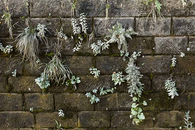 Détail sur la maçonnerie d'une écluse. © Sonia Dourlot / Région Bourgogne-Franche-Comté, Inventaire du patrimoine - 2015
