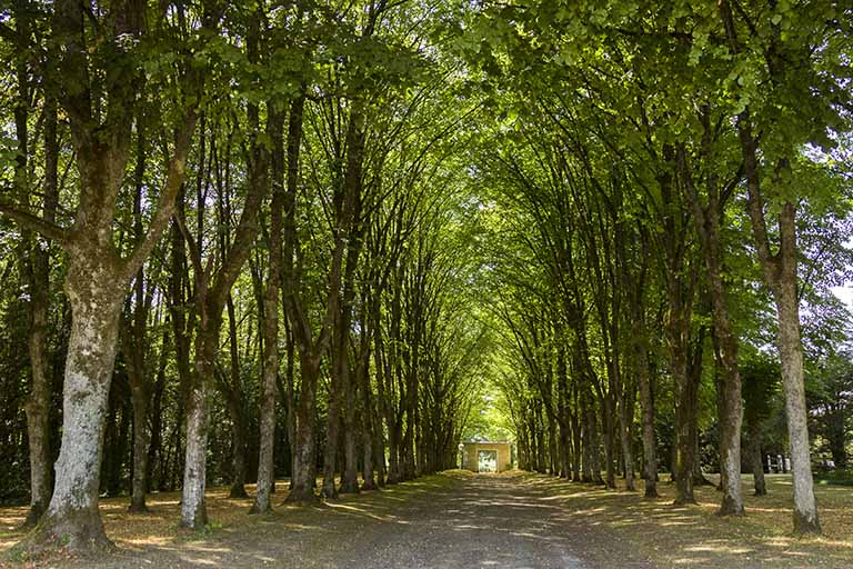 L'allée bordée de tilleuls, vue en direction du portail. © Sonia Dourlot / Région Bourgogne-Franche-Comté, Inventaire du patrimoine - 2015
