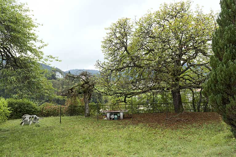 Ancienne pergola, au sud. © Sonia Dourlot / Région Bourgogne-Franche-Comté, Inventaire du patrimoine - 2016 Ancienne pergola, au sud. © Sonia Dourlot / Région Bourgogne-Franche-Comté, Inventaire du patrimoine - 2016