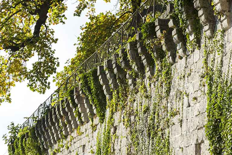 Détail de l'enceinte, au nord-est. © Sonia Dourlot / Région Bourgogne-Franche-Comté, Inventaire du patrimoine - 2016
