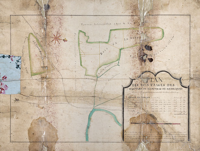 Plan des bois au hameau de Richecourt (18e siècle). © Jérôme  Mongreville (reproduction) / Région Bourgogne-Franche-Comté, Inventaire du patrimoine - 2016 Plan des bois au hameau de Richecourt (18e siècle). © Jérôme  Mongreville (reproduction) / Région Bourgogne-Franche-Comté, Inventaire du patrimoine - 2016