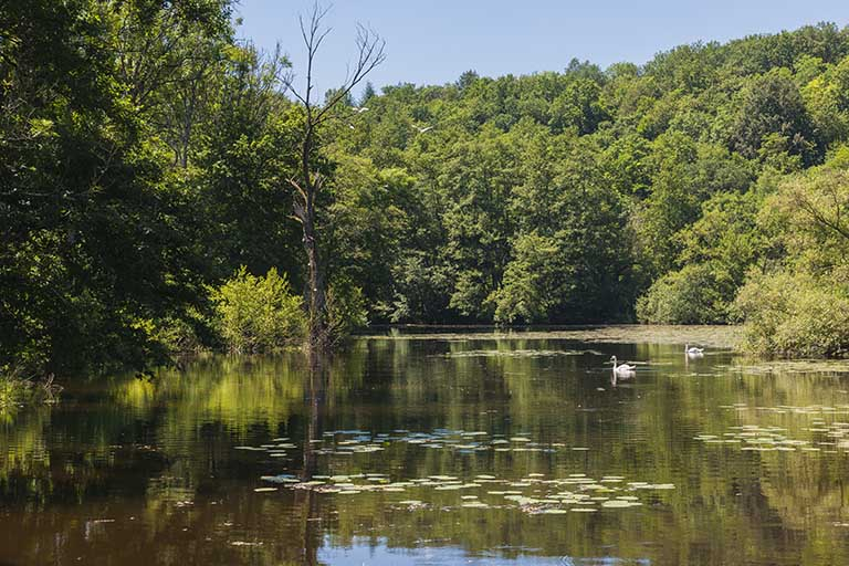 L'étang de Velotte. © Jérôme Mongreville / Région Bourgogne-Franche-Comté, Inventaire du patrimoine - 2016