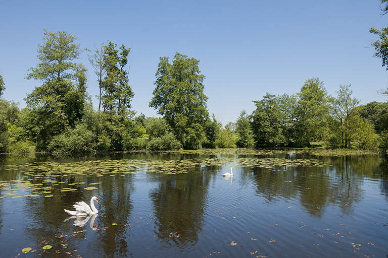 L'étang de Velotte. © Jérôme Mongreville / Région Bourgogne-Franche-Comté, Inventaire du patrimoine - 2016