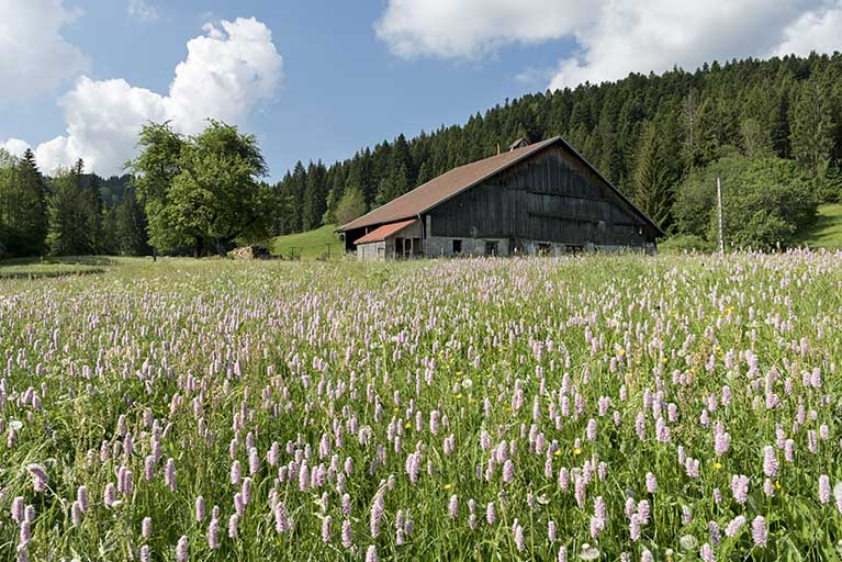Vue d'ensemble, depuis le nord (façade postérieure). © Sonia Dourlot / Région Bourgogne-Franche-Comté, Inventaire du patrimoine - 2017