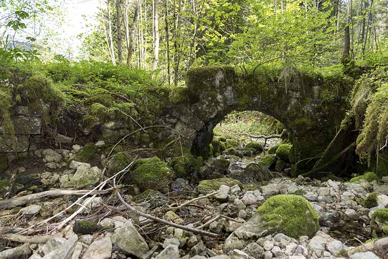 Pont en ruine. © Sonia Dourlot / Région Bourgogne-Franche-Comté, Inventaire du patrimoine - 2017