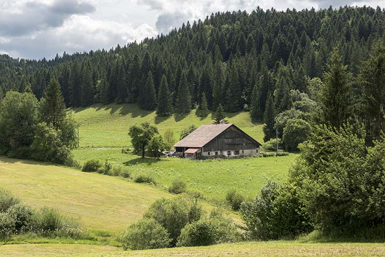 Vue d'ensemble éloignée, depuis le nord. © Sonia Dourlot / Région Bourgogne-Franche-Comté, Inventaire du patrimoine - 2017