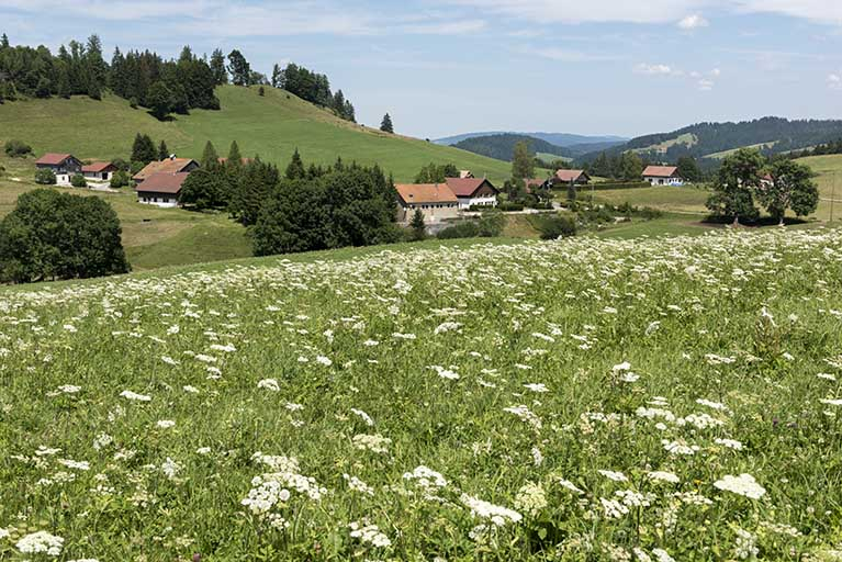 20172500804NUC4A © Sonia Dourlot / Région Bourgogne-Franche-Comté, Inventaire du patrimoine - 2017 20172500804NUC4A © Sonia Dourlot / Région Bourgogne-Franche-Comté, Inventaire du patrimoine - 2017