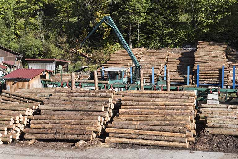 Chariot de tronçonnage Baljer Zembrod. © Sonia Dourlot / Région Bourgogne-Franche-Comté, Inventaire du patrimoine - 2017 Chariot de tronçonnage Baljer Zembrod. © Sonia Dourlot / Région Bourgogne-Franche-Comté, Inventaire du patrimoine - 2017