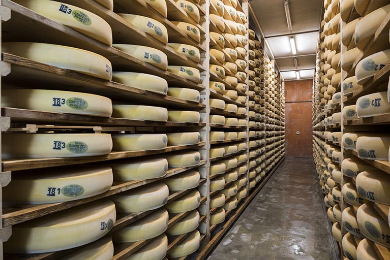 Cave d'affinage : meules de comté sur les étagères. © Sonia Dourlot / Région Bourgogne-Franche-Comté, Inventaire du patrimoine - 2017