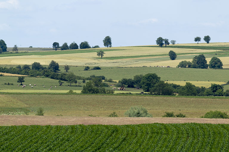 Paysage : regard vers le nord, vu de la route de Montcourt.  © Sonia Dourlot / Région Bourgogne-Franche-Comté, Inventaire du patrimoine - 2017