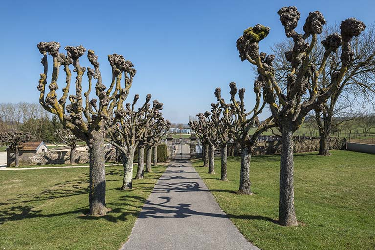 L'allée conduisant au cimetière. © Jérôme Mongreville / Région Bourgogne-Franche-Comté, Inventaire du patrimoine - 2017 L'allée conduisant au cimetière. © Jérôme Mongreville / Région Bourgogne-Franche-Comté, Inventaire du patrimoine - 2017