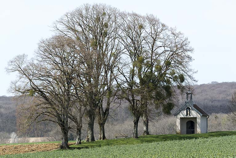 Chapelle saint-Brice. © Sonia Dourlot / Région Bourgogne-Franche-Comté, Inventaire du patrimoine - 2017 Chapelle saint-Brice. © Sonia Dourlot / Région Bourgogne-Franche-Comté, Inventaire du patrimoine - 2017