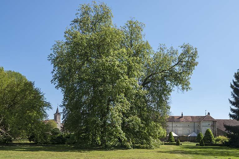 L'église et le château. © Jérôme Mongreville / Région Bourgogne-Franche-Comté, Inventaire du patrimoine - 2017 L'église et le château. © Jérôme Mongreville / Région Bourgogne-Franche-Comté, Inventaire du patrimoine - 2017