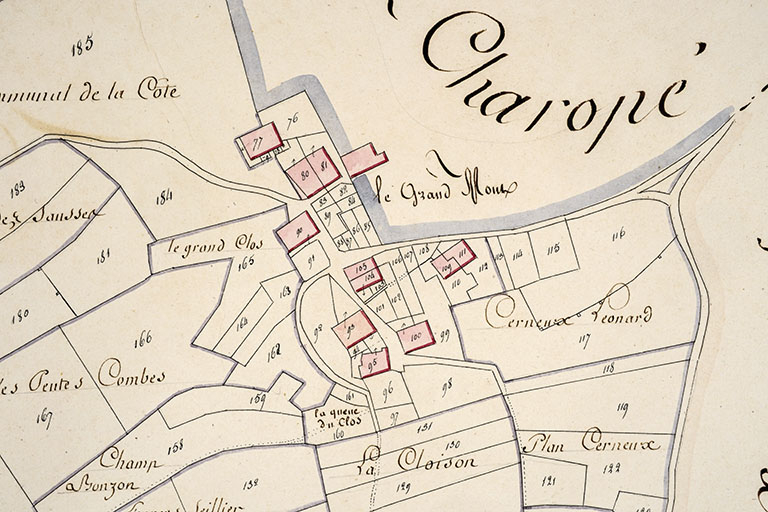 Cadastre de la commune des Gras. Atlas parcellaire, 1816, section D 2e feuille [détail : le Grand Mont], 1/2 500. © Jérôme Mongreville / Région Bourgogne-Franche-Comté, Inventaire du patrimoine - 2018