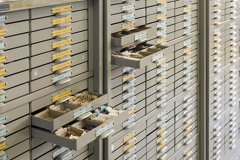 Magasin : meubles à tiroirs plats, certains ouverts. © Sonia Dourlot / Région Bourgogne-Franche-Comté, Inventaire du patrimoine - 2018