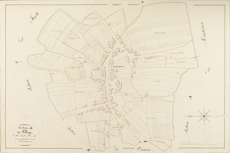 Cadastre de la commune de Montécheroux. Atlas parcellaire, 1830, section D en une feuille, 1/1 250. © Sonia Dourlot / Région Bourgogne-Franche-Comté, Inventaire du patrimoine - 2019