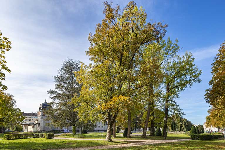 parc © Jérôme Mongreville / Région Bourgogne-Franche-Comté, Inventaire du patrimoine - 2021 parc © Jérôme Mongreville / Région Bourgogne-Franche-Comté, Inventaire du patrimoine - 2021