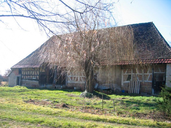 Vue d'ensemble de la façade du bâtiment des dépendances. © Région Bourgogne-Franche-Comté, Inventaire du patrimoine