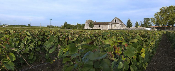 Vue vers le Sud depuis la RN74. © Région Bourgogne-Franche-Comté, Inventaire du patrimoine