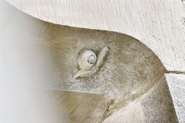 Fenêtre du mur sud surmontée d'une accolade sculptée d'un escargot : détail du gastéropode. © Région Bourgogne-Franche-Comté, Inventaire du patrimoine Fenêtre du mur sud surmontée d'une accolade sculptée d'un escargot : détail du gastéropode. © Région Bourgogne-Franche-Comté, Inventaire du patrimoine
