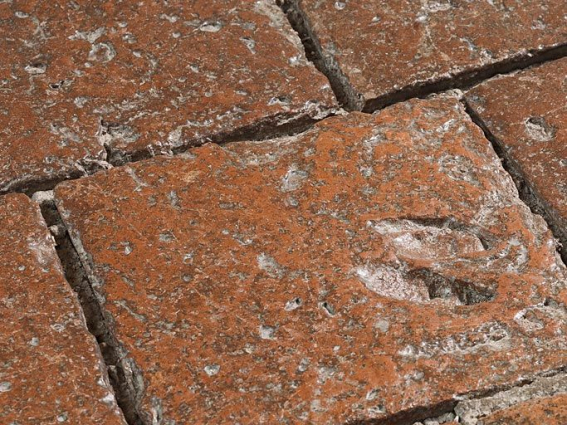Carreaux de pavement de la chambre de Vienne : détail. © Région Bourgogne-Franche-Comté, Inventaire du patrimoine Carreaux de pavement de la chambre de Vienne : détail. © Région Bourgogne-Franche-Comté, Inventaire du patrimoine
