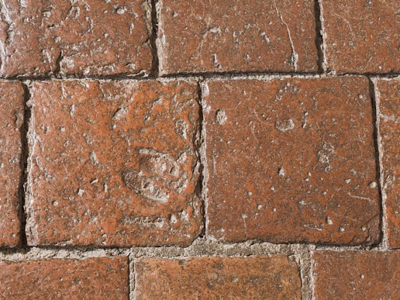 Carreaux de pavement de la chambre de Vienne : détail. © Région Bourgogne-Franche-Comté, Inventaire du patrimoine Carreaux de pavement de la chambre de Vienne : détail. © Région Bourgogne-Franche-Comté, Inventaire du patrimoine