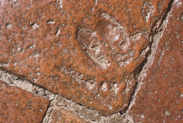 Carreaux de pavement de la chambre de Vienne : détail. © Région Bourgogne-Franche-Comté, Inventaire du patrimoine Carreaux de pavement de la chambre de Vienne : détail. © Région Bourgogne-Franche-Comté, Inventaire du patrimoine