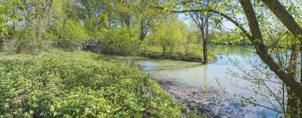 Confluence de l'Echalonge avec la Saône. © Région Bourgogne-Franche-Comté, Inventaire du patrimoine