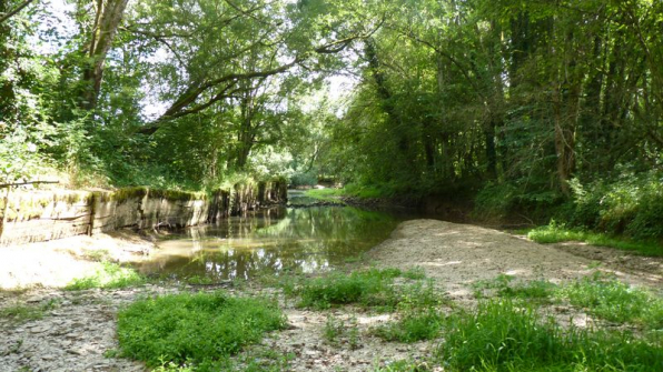 Vue du bief qui dessert le moulin. © Parc national de forêts