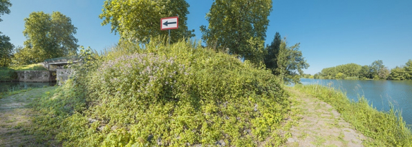 A gauche, l'entrée de la dérivation et à droite, la Saône. © Région Bourgogne-Franche-Comté, Inventaire du patrimoine