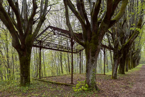 Vestiges des promenoirs d'Ernest Panz remontés sur le site de Pougues-Bellevue. © Région Bourgogne-Franche-Comté, Inventaire du patrimoine