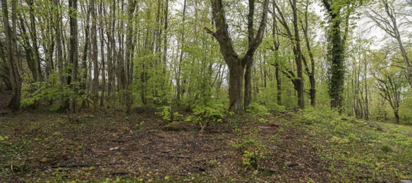 Emplacement de la laiterie (détruite). © Région Bourgogne-Franche-Comté, Inventaire du patrimoine