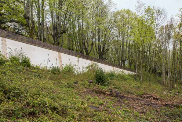 Terrasse, vue depuis la partie inférieure du parc. © Région Bourgogne-Franche-Comté, Inventaire du patrimoine