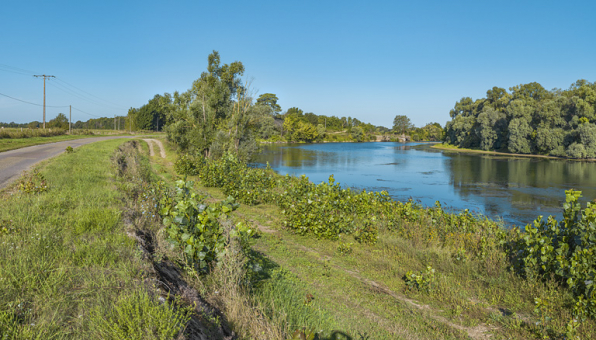 Partie de bief en amont de l'ancien barrage, au niveau de l'entrée dans la dérivation de Charnay. © Région Bourgogne-Franche-Comté, Inventaire du patrimoine