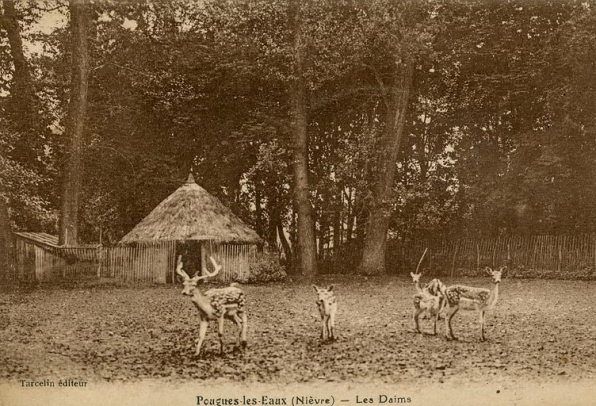 Parc des daims. © Région Bourgogne-Franche-Comté, Inventaire du patrimoine