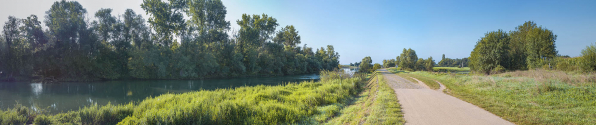 Le passage de l'île d'Uchizy en amont du pont. À gauche, la Saône et à droite, la lône. © Région Bourgogne-Franche-Comté, Inventaire du patrimoine