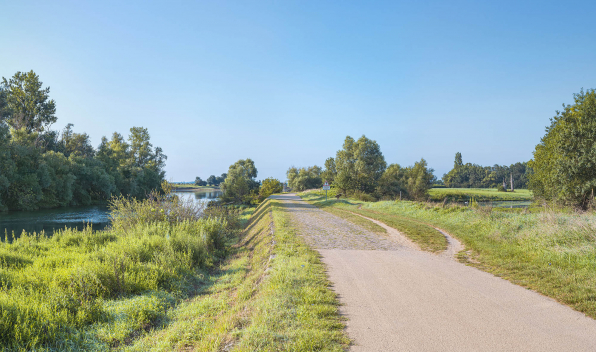 Le passage de l'île d'Uchizy, en amont du pont, rive droite. À gauche, la Saône et à droite, la lône. © Région Bourgogne-Franche-Comté, Inventaire du patrimoine