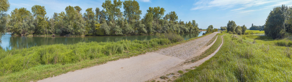 Le passage de l'île d'Uchizy, en amont du pont, rive droite. À gauche, la Saône et à droite, la lône. © Région Bourgogne-Franche-Comté, Inventaire du patrimoine