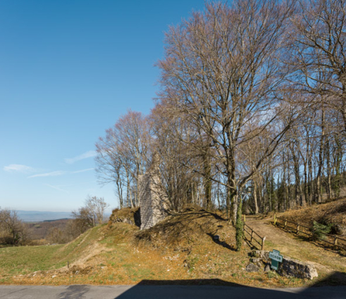 Vue d'ensemble du site, depuis le sud. © Région Bourgogne-Franche-Comté, Inventaire du patrimoine