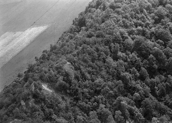 Vue aérienne du site du château fort en 1956. © Région Bourgogne-Franche-Comté, Inventaire du patrimoine