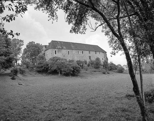 Vue d'ensemble depuis un pré en contrebas. © Région Bourgogne-Franche-Comté, Inventaire du patrimoine