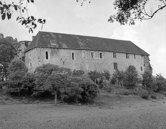 Vue d'ensemble depuis le pré en contrebas. © Région Bourgogne-Franche-Comté, Inventaire du patrimoine